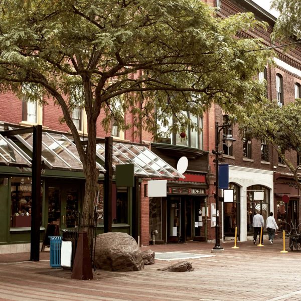 Downtown street scene with shops and trees in a vibrant city area.