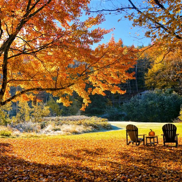 Autumn landscape featuring two chairs and a small table under colorful fall foliage.